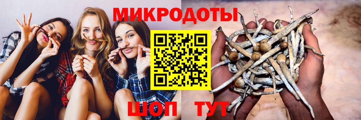 Галлюциногенные грибы прущие грибы  Псилоцибиновые грибы GOLDEN TEACHER  Вход с VPN  Рузаевка 